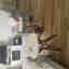 Customer photo 2 of 3