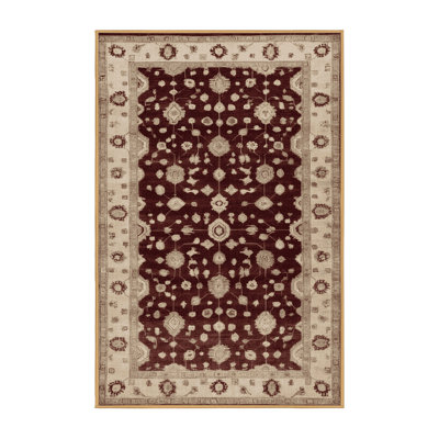 Machine Washable Overdyed Brown Area Rug