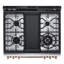 30" 6.3 cu. ft. Smart Slide-in Natural Gas Range with Convection Oven-100389893