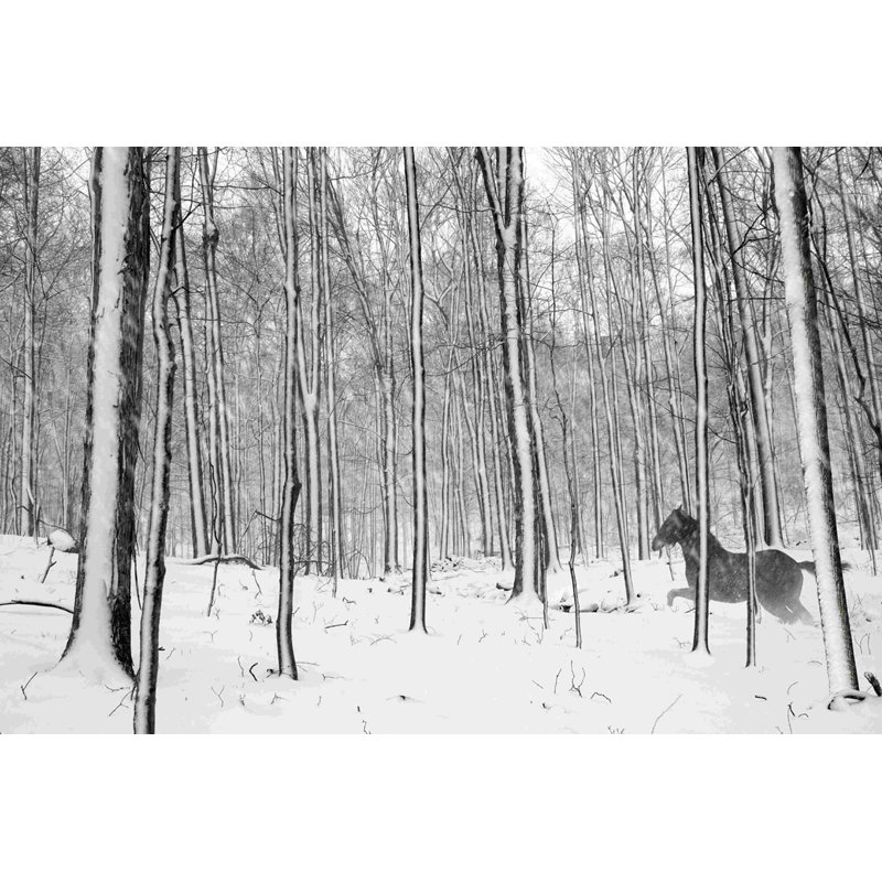 A Snowy Walk II, H 20 po x l 30 po