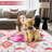 Kyarra Washable Oriental Indoor Rug-1351096527