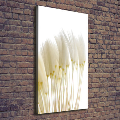 Ethnic - Wrapped Canvas Print