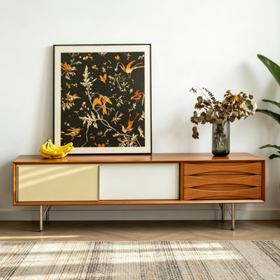 Modern Minimalist TV Stand