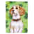 Brown Beagle