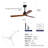 New Model 52 Inch Wood Ceiling Fans With Lights And Remote Control, Reversible Dc Motor, Black Ceiling Fan For Living Room, Bedroom-1935186114