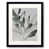 Black Framed Paper is unavailable