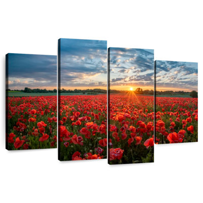 Alvord Red Poppy Field Sunrise