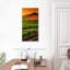 Carneros Vineyard Twilight-691643089