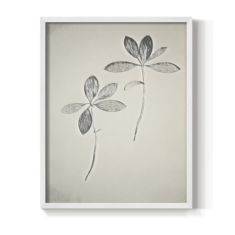 Impression florale vintage encadrée CCXII - bois massif, H 21 po x l 17 po, Blanc