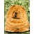 Chow-chow