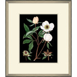 White Floral On Black 3 Painting