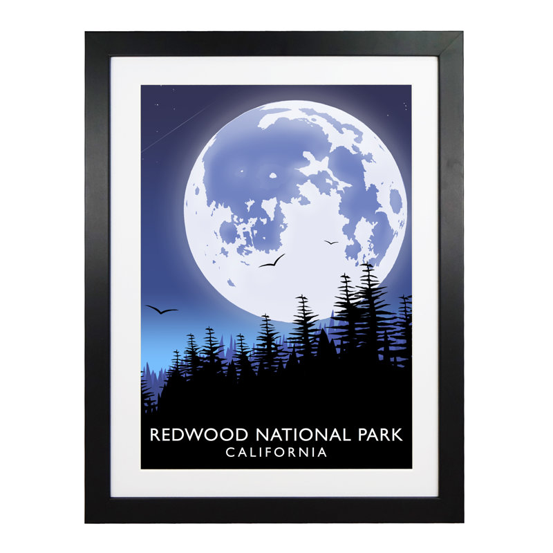 'Redwood National Park' 1 Piece Wall Art, 43.5 cm H x 33.5 cm W x 2.2 cm D, Black Wood Frame