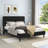 Dajai Upholstered Unfinished Platform Bed-1059561344-955523318