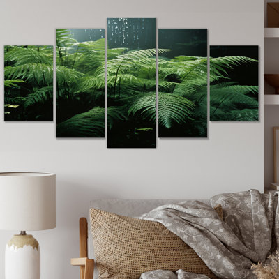 Ferns Close Up Photo II Plants & Flowers Wall Decor on Metal