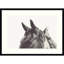Partenaire - reproduction de photo sur papier encadrée-535478012-535478013