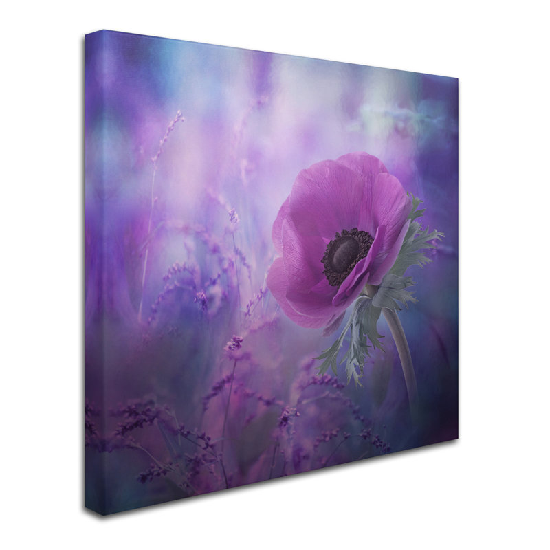 « ecstasy », reproduction de photo sur toile tendue, H 18 po x l 18 po