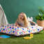 icon Kids Giant Indoor-Outdoor Floor Cushion, Confetti Print Blue-687263862