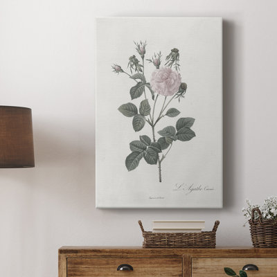 Imprimé floral rétro CXLV - galerie enveloppée Cavas