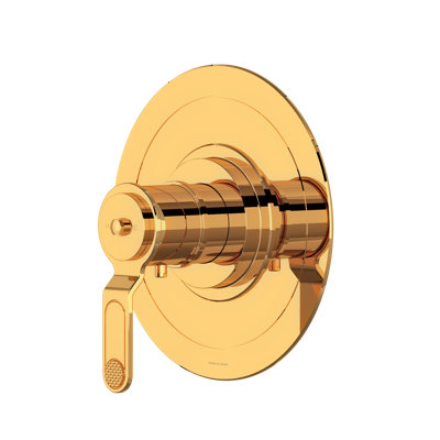 Armstrong 3/4" Thermostatic Trim Without Volume Control
