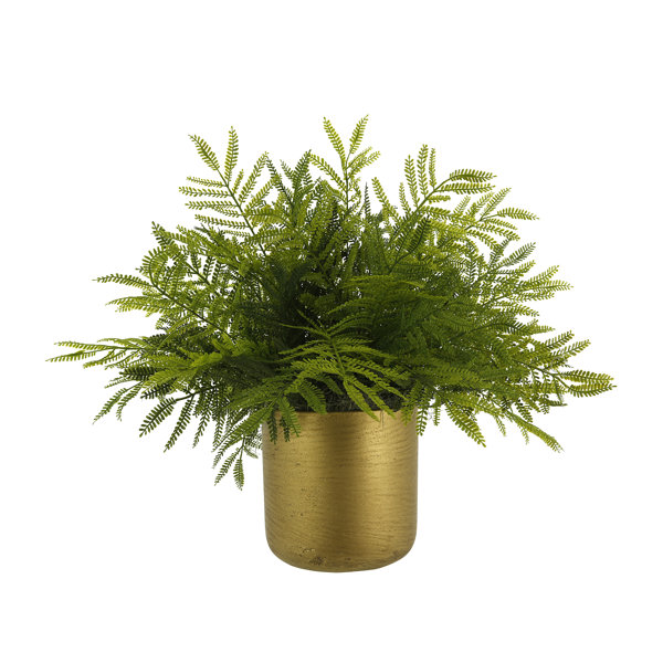 Creative Displays, Inc. UV Rated Outdoor Ostrich Fern in Fiberstone Pot ...