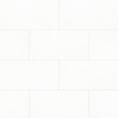 Belvia 12 in. x 24 in. Polished Porcelain Stone Look Floor and Wall Tile