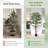 63'' Faux Ficus Tree in Freestanding