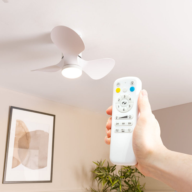 Cayleeann 24cm Ceiling Fan with LED Lights, White