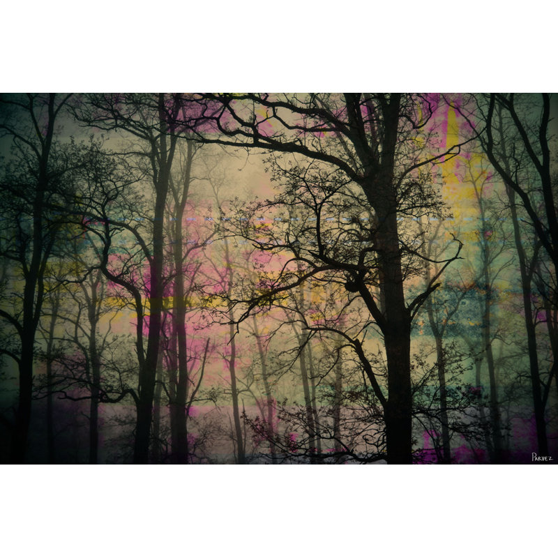 Parvez Taj - Wrapped Canvas Print, 61cm H x 91cm W x 5cm D