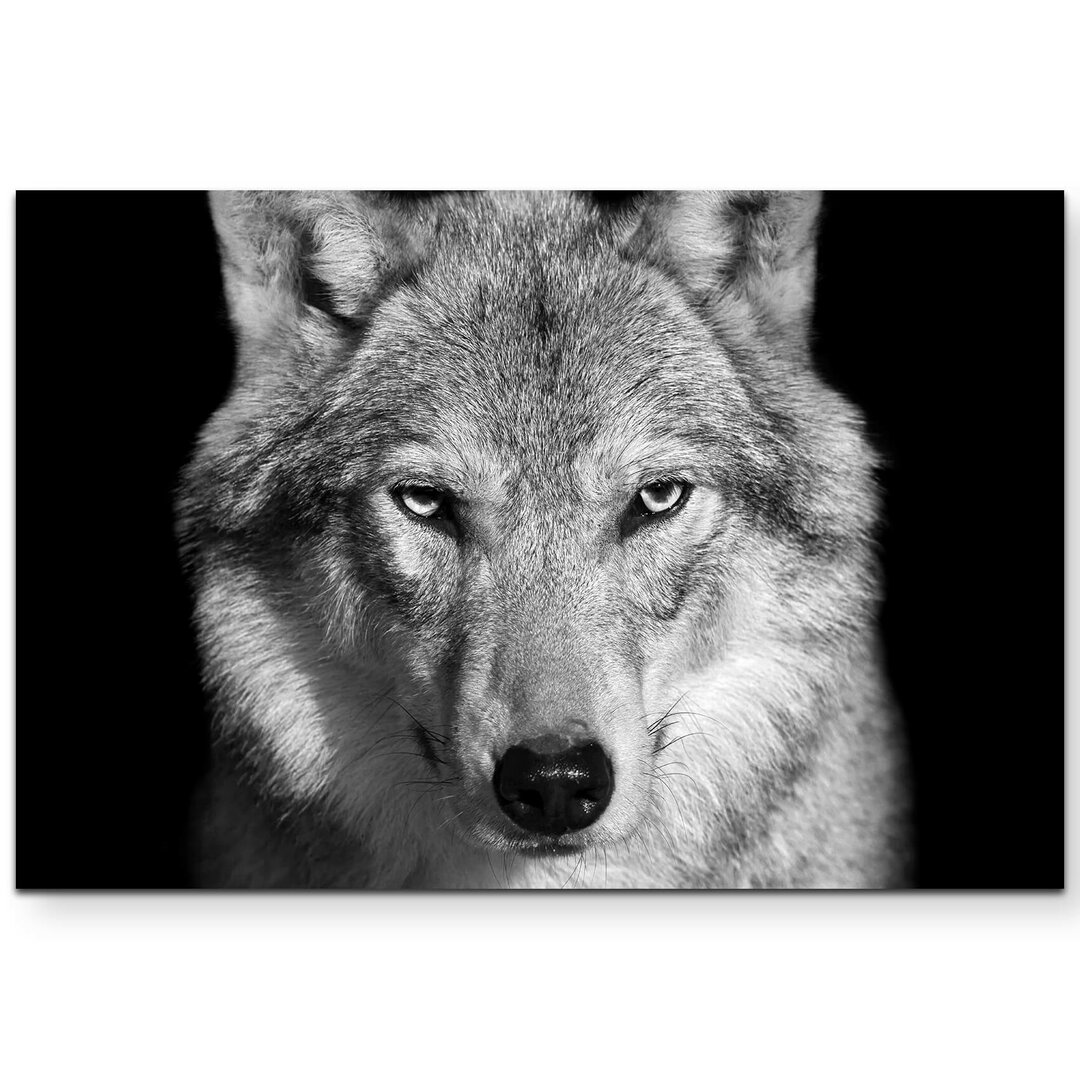 Leinwandbild Portrait – Wolf