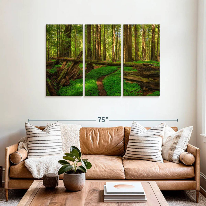 Harnek Scenic Redwood Forest, 36" H x 57" W