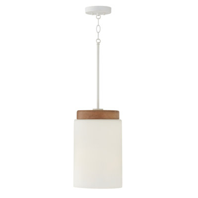 Luminaire suspendu cylindrique 1 lumière Donal