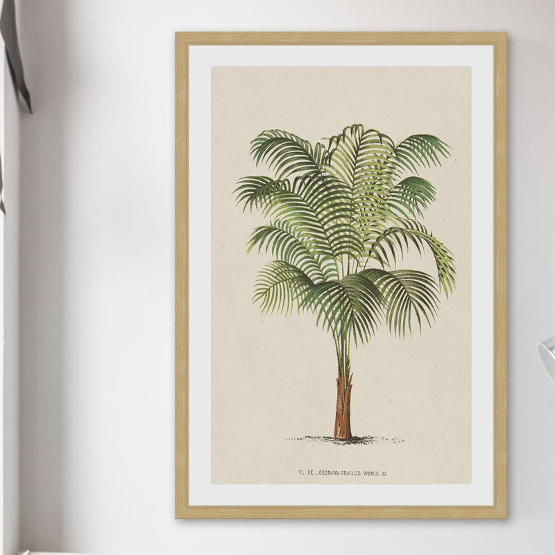 "Les Palmiers II", reproduction encadrée, H 36 po x l 24 po x P 1,5 po