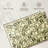 Kerner Hundred Dollar Bills-111858501