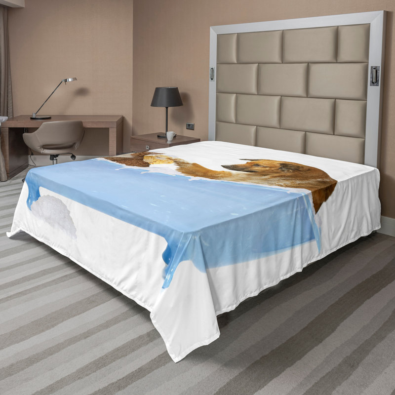 Multicolore Ambesonne, Drap plat pour très grand lit californien