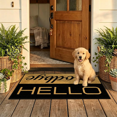  Paillasson antidérapant pour l'intérieur et l'extérieur, 24 po x 36 po, Hello goodbye coir