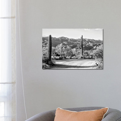 Cactus On The Way by Philippe Hugonnard - Wrapped Canvas Print