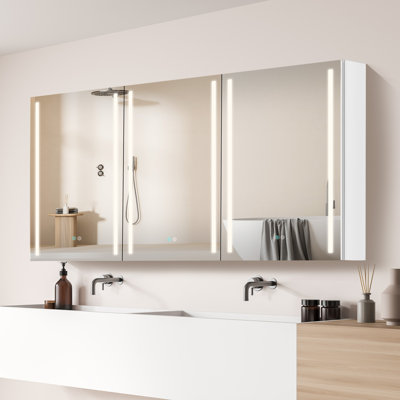 Taliyah 60'' W 30'' H Surface Mount Frameless Medicine Cabinet with Mirror and 6 Adjustable Shelves