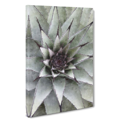 The Succulent Plant - Wrapped Canvas Painting