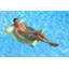 Fauteuil gonflable flottant pour piscine Hammam Poolmaster, très grand