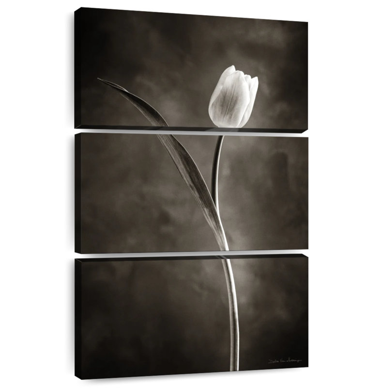Harnek Two Tone Tulips I, 32" H x 20" W