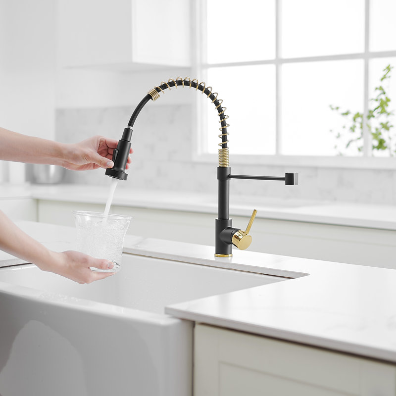 FLG Pull Down Kitchen Faucet