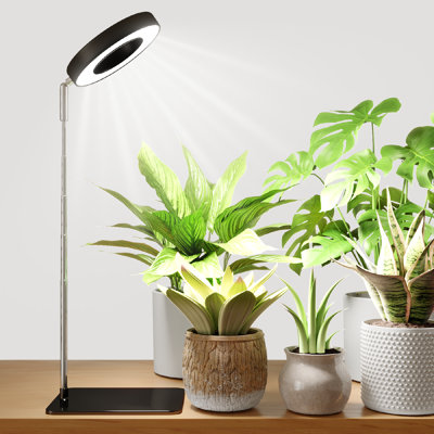 Anneau de croissance à DEL avec base de support, lampe de bureau à spectre complet de 8 W, lumière de croissance réglable pour les plantes d'intérieur, les semis et les plantes d'intérieur