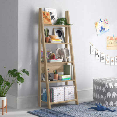 Arelious Ladder Bookcase