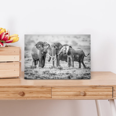 «Majestic Elephant Family», art mural contemporain