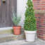 Pot Planter-837154933-837154932