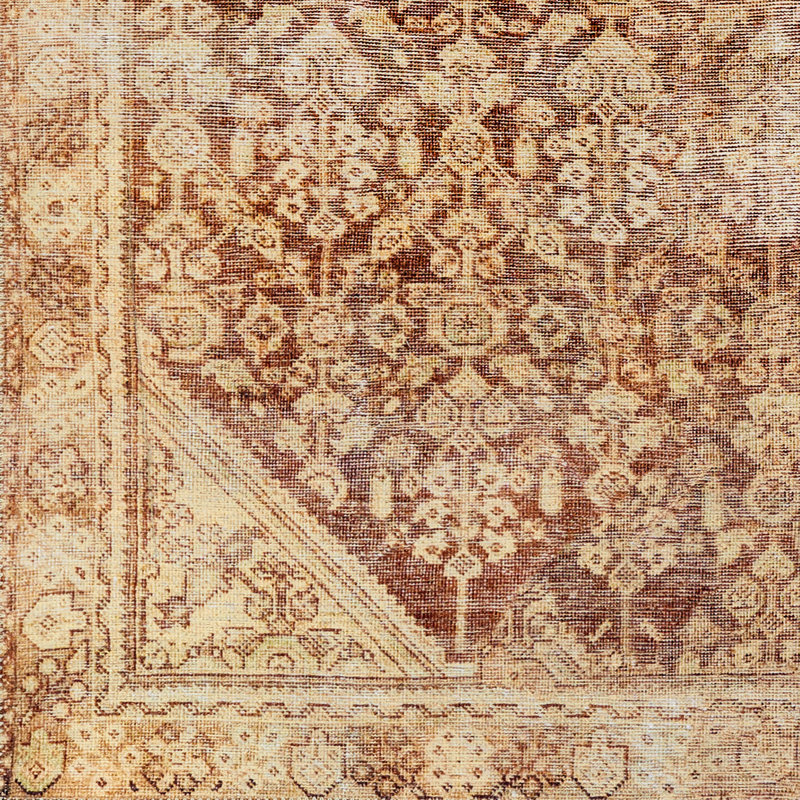 Heyward Oriental Indoor Rug, Rectangle 2' x 2'11"
