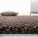 Jiang Brown Area Rug