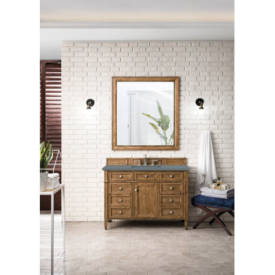 Dussault 48'' Single Bathroom Vanity with Top