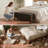47'' Modern Upholstered Storage Bench With Walnut Wood Legs-1948181145