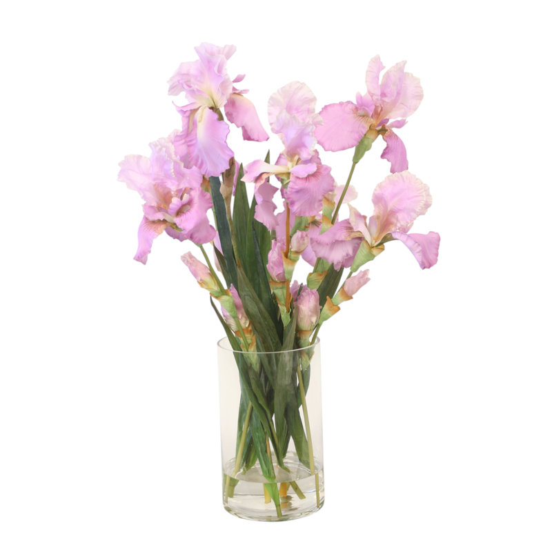 Lavis iris dans un vase cylindrique rond